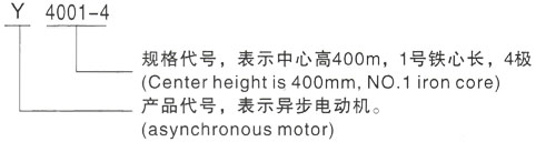 西安泰富西玛Y系列(H355-1000)高压YJTG-355M2-2A/250KW三相异步电机型号说明