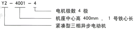 YR系列(H355-1000)高压YJTG-355M2-2A/250KW三相异步电机西安西玛电机型号说明